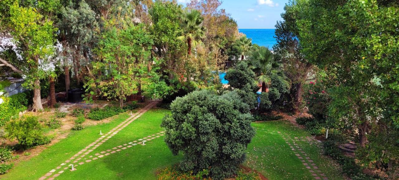 خانيا Marita'S Apartments المظهر الخارجي الصورة